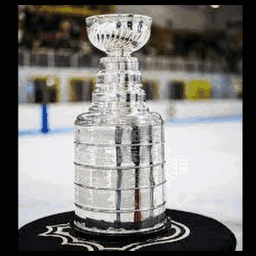 A Hockey Trophy Is Sitting On Top Of A Hockey Rink GIF