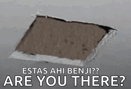 A Hole In A Wall With The Words `` Are You There '' Written On It . GIF