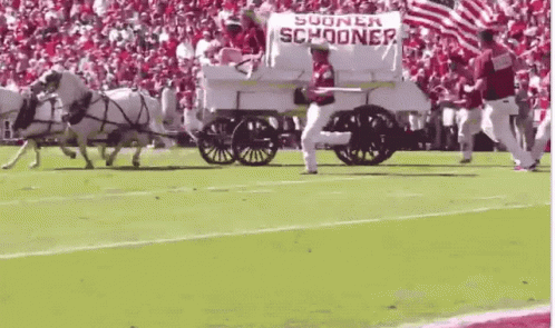 A Horse Drawn Wagon With A Sign That Says Sooner Schooner GIF
