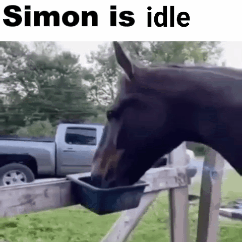 A Horse Is Drinking Water From A Plastic Container Attached To A Fence . GIF