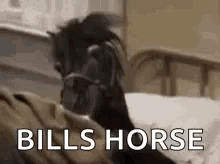 A Horse Is Laying On A Bed And Looking At The Camera . GIF