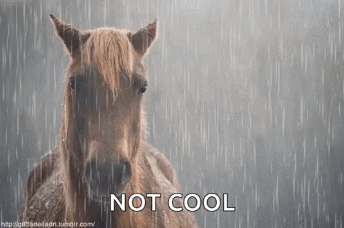 A Horse Is Standing In The Rain With The Words " Not Cool " Below It GIF
