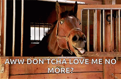A Horse Is Sticking Its Head Out Of A Wooden Stable Door With The Caption " Aww Don 'Tcha Love Me No More " GIF