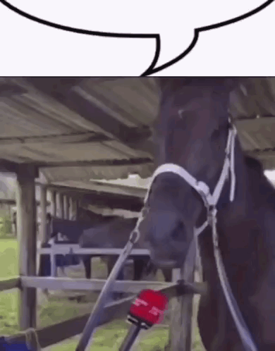 A Horse Is Talking Into A Microphone While Standing In A Stable . GIF