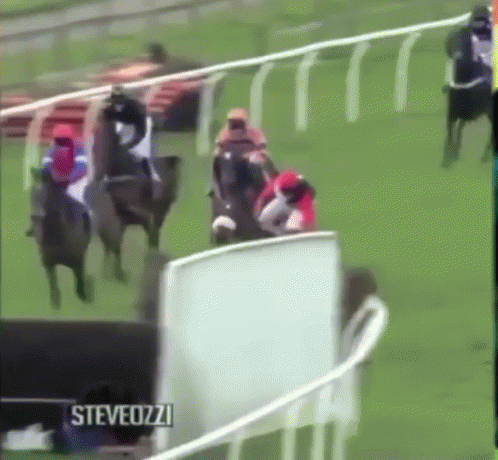 A Horse Race Is Being Filmed By Steveozzy GIF