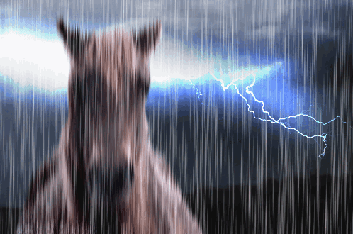 A Horse Standing In The Rain With Lightning Behind It GIF