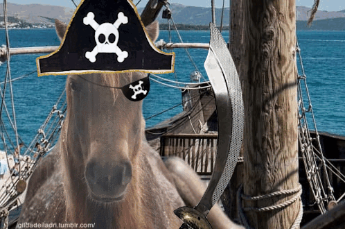 A Horse Wearing A Pirate Hat And Eye Patch Holding A Sword GIF