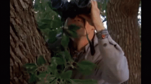A House With A Tree In Front Of It And A Person Looking Out The Window GIF