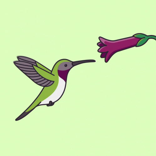 A Hummingbird Flies Towards A Purple Flower On A Green Background GIF