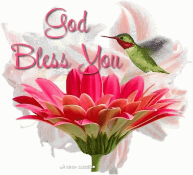 A Hummingbird Is Flying Over A Pink Flower With The Words God Bless You Written On It GIF