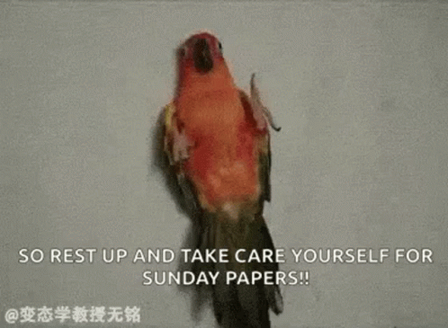 A Hummingbird Is Sitting On A Tree Branch In The Snow With A Quote . GIF