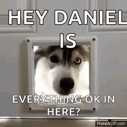 A Husky Dog Looking Through A Cat Door With The Caption Hey Daniel Everything Ok In Here ? GIF