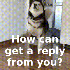 A Husky Dog Standing On Its Hind Legs With The Words How Can Get A Reply From You GIF