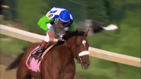 A Jockey Is Riding A Horse In A Race With The Number 8 On His Jersey . GIF