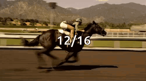 A Jockey Is Riding A Horse On A Race Track With The Number 12/16 Written On The Bottom GIF