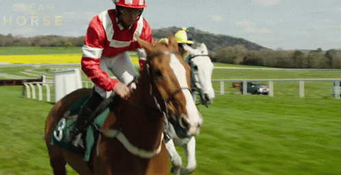 A Jockey Is Riding A Horse With The Number 3 On Its Saddle GIF