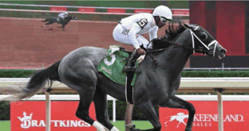 A Jockey Is Riding A Horse With The Number 5 On It GIF