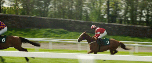 A Jockey On A Horse With The Number 3 On The Back GIF