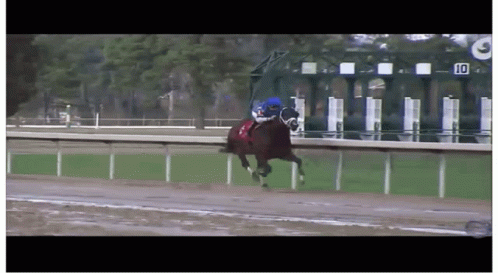 A Jockey Rides A Horse On A Race Track With The Number 10 On The Fence GIF