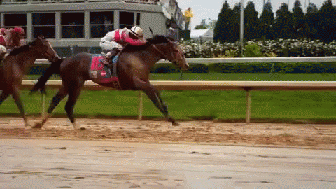 A Jockey Riding A Horse With A Red Saddle That Says ' J. ' On It GIF
