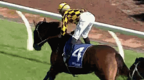 A Jockey Riding A Horse With The Number 4 On The Saddle GIF