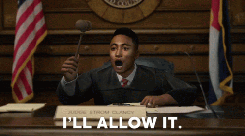 a judge is holding a gavel in a courtroom and says i 'll allow it