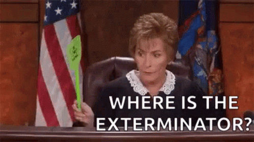 A Judge Is Sitting In A Courtroom Holding A Green Umbrella . GIF