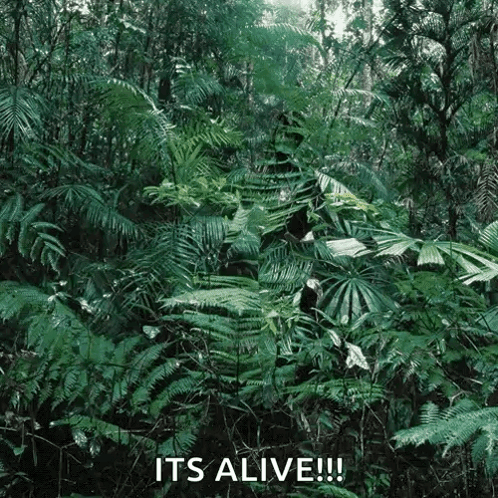 A Jungle With Lots Of Plants And Trees And The Words `` It 'S Alive '' Written On The Bottom . GIF