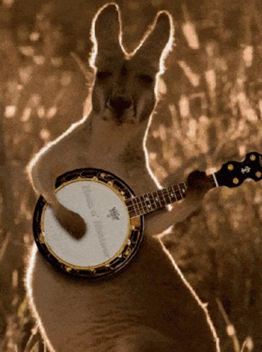 Kangaroo Playing Banjo With Yamaha Logo GIF