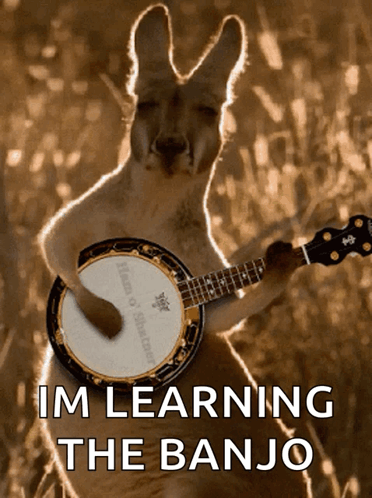 Kangaroo Learning Banjo Text GIF