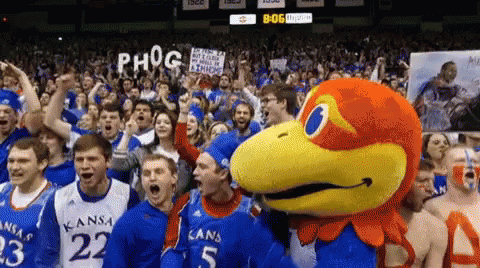 A Kansas Mascot Is Surrounded By A Crowd Of People GIF