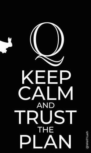 A Keep Calm And Trust The Plan Poster With A Bird GIF