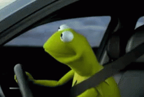 A Kermit The Frog Is Driving A Car And Wearing A Seat Belt . GIF