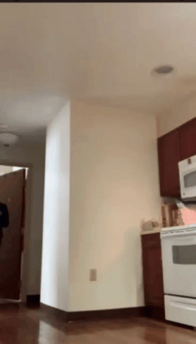 A Kitchen With A White Stove And A Brown Cabinet GIF