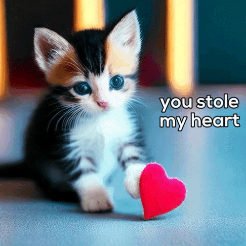 A Kitten Holding A Red Heart With The Words " You Stole My Heart " Above It GIF
