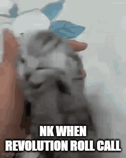 A Kitten Is Being Held In Someone 'S Hand With The Caption Nk When Revolution Roll Call GIF