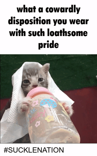A Kitten Is Drinking From A Baby Bottle With The Words What A Cowardly Disposition You Wear With Such Loathsome Pride GIF