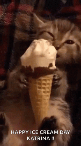 A Kitten Is Eating An Ice Cream Cone On Ice Cream Day GIF