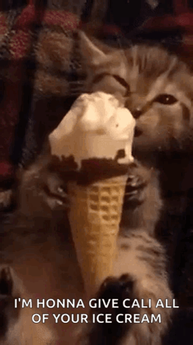 A Kitten Is Eating An Ice Cream Cone With The Words I 'M Honna Give Cali All Of Your Ice Cream GIF
