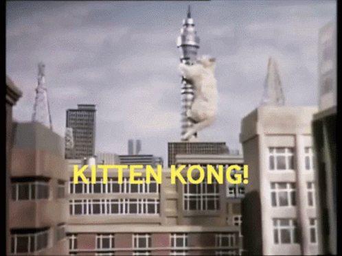 A Kitten Is Hanging From A Pole With The Words Kitten Kong In Yellow Letters GIF