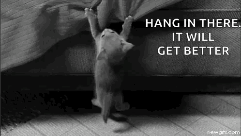A Kitten Is Hanging Upside Down On A Couch . GIF