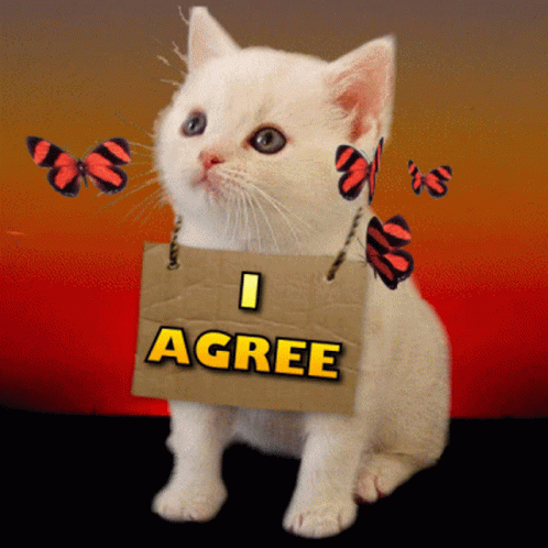 A Kitten Is Holding A Sign That Says I Agree GIF