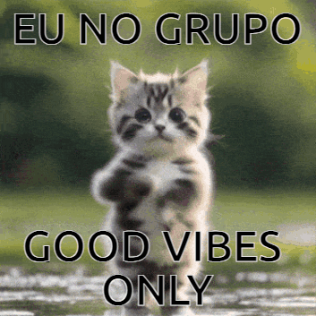 A Kitten Is Jumping In The Air With The Words Eu No Grupo Good Vibes Only GIF
