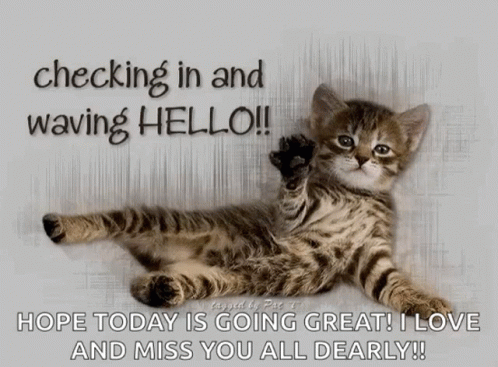 A Kitten Is Laying Down With The Words Checking In And Waving Hello GIF