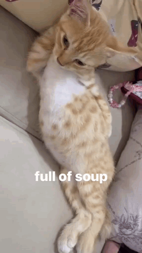 A Kitten Is Laying On A Couch With The Caption Full Of Soup GIF