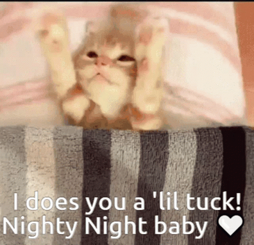 A Kitten Is Laying On A Striped Blanket With The Words I Does You A Lil Tuck Nighty Night Baby GIF