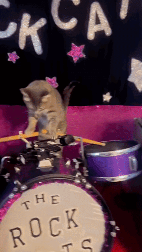 A Kitten Is Playing Drums In Front Of A Sign That Says " The Rock Cats " GIF