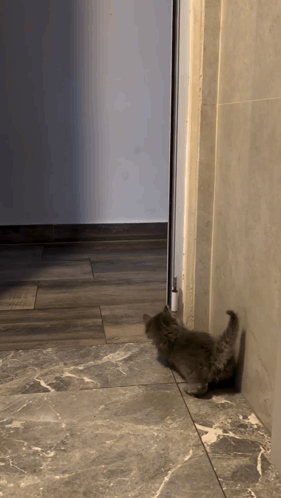 A Kitten Is Playing On A Tiled Floor Near A Door GIF