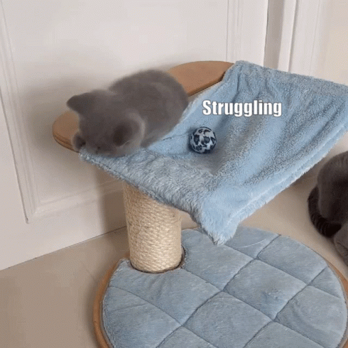 A Kitten Is Playing With A Ball On A Scratching Post And The Word Struggling Is Above It GIF
