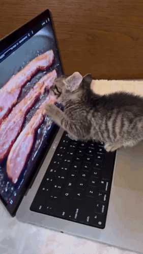 A Kitten Is Playing With A Laptop That Has Bacon On The Screen GIF